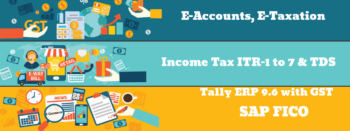 The Future of Accounting Careers: Job Prospects & Skill
