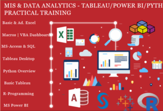 The Rise of Remote Data Science Jobs: Why an Data