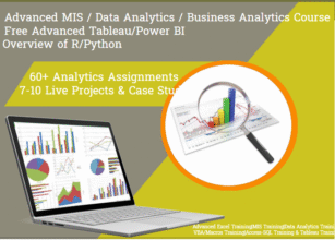 How an Business Analytics Course Can Secure Your Job