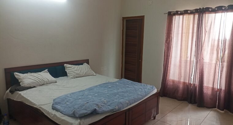 Guest house Experience a cozy and affordable