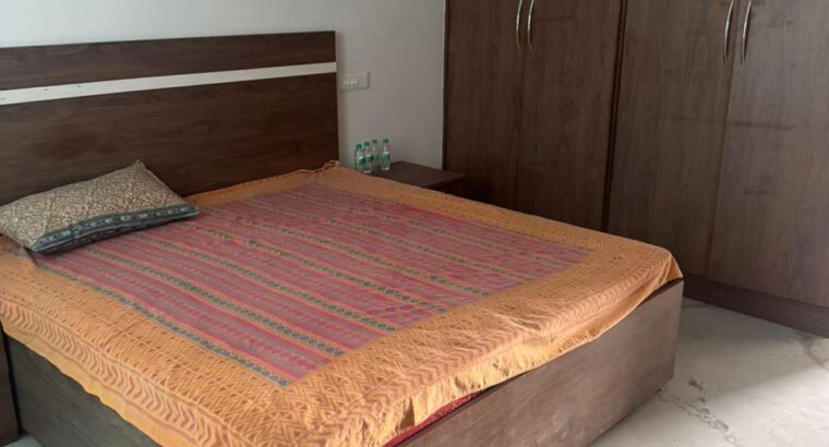 First Floor Independent Portion Available for Rent